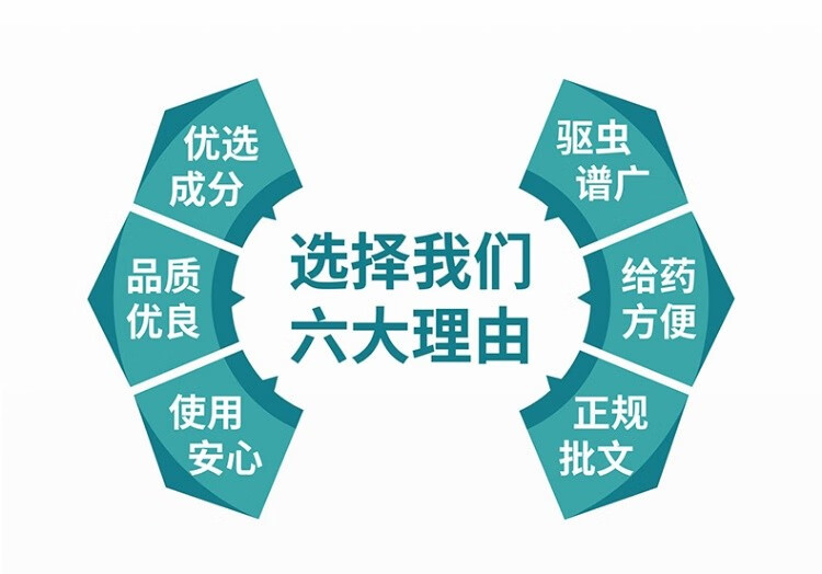 6，海樂旺狗狗躰內一躰幼犬成犬泰迪比熊小型犬 1片/盒 小型犬【0-5kg】