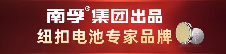 南孚【精选好物】传应CR1616纽扣CR1616电子东风本田适用飞度电池 3V锂电子 适用东风本田飞度思域 CR1616【5粒装】详情图片1