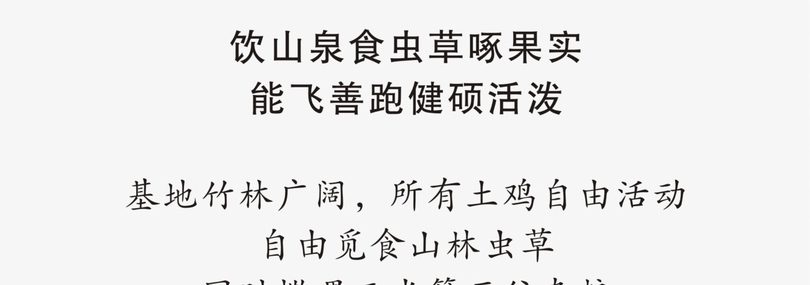 皖南九华山正宗山区老母鸡五谷散养新鲜一只速达顺丰2.2斤净重土鸡走地鸡整鸡 顺丰速达 一只装（净重约2.2斤）详情图片16