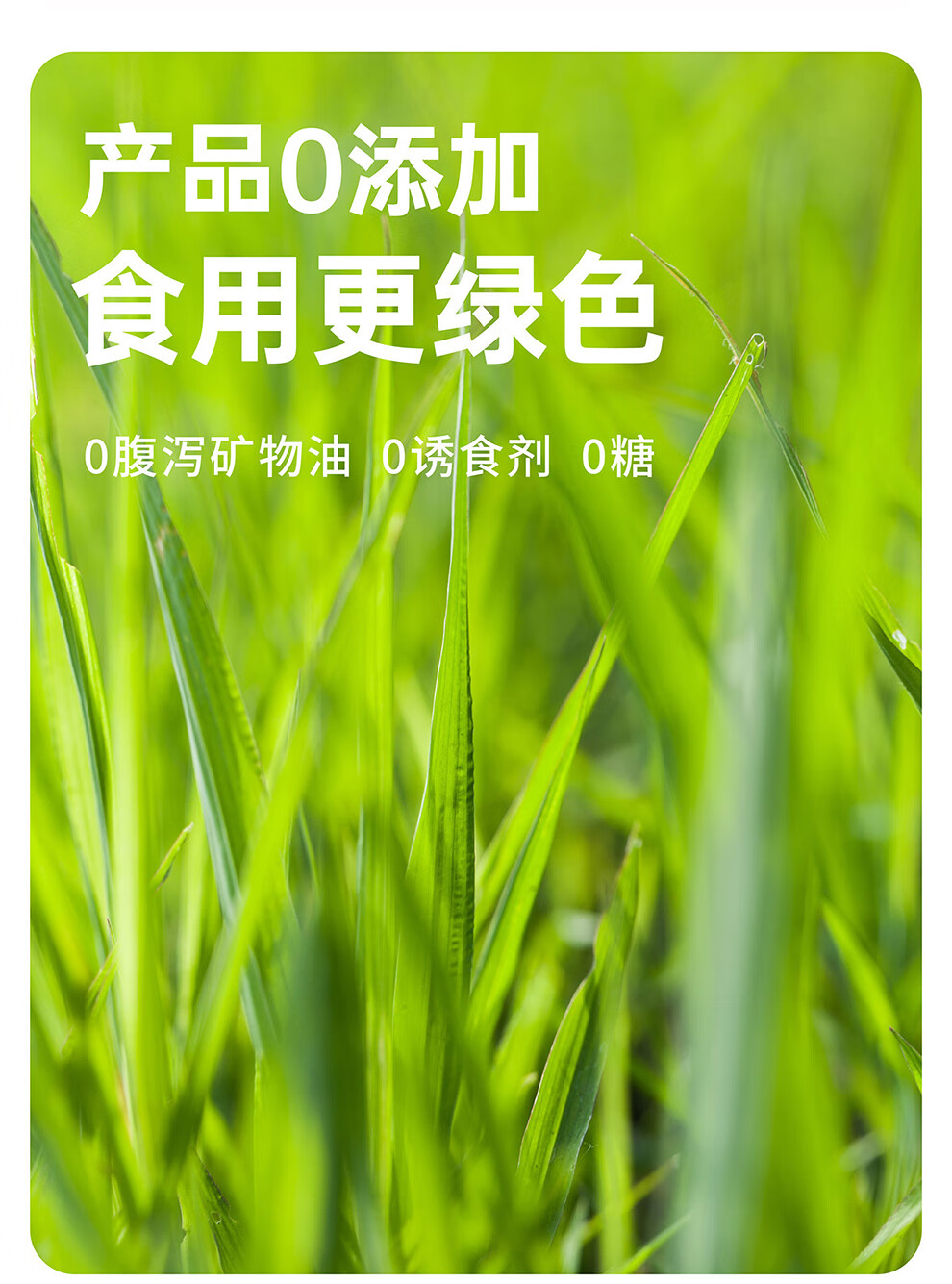 11，濟寵軒貓咪本草排毛化毛粉益生菌排毛粉貓咪化毛調理腸胃去毛球促排便貓草化毛營養補充劑買大送小 貓用本草排毛粉-2支試用裝