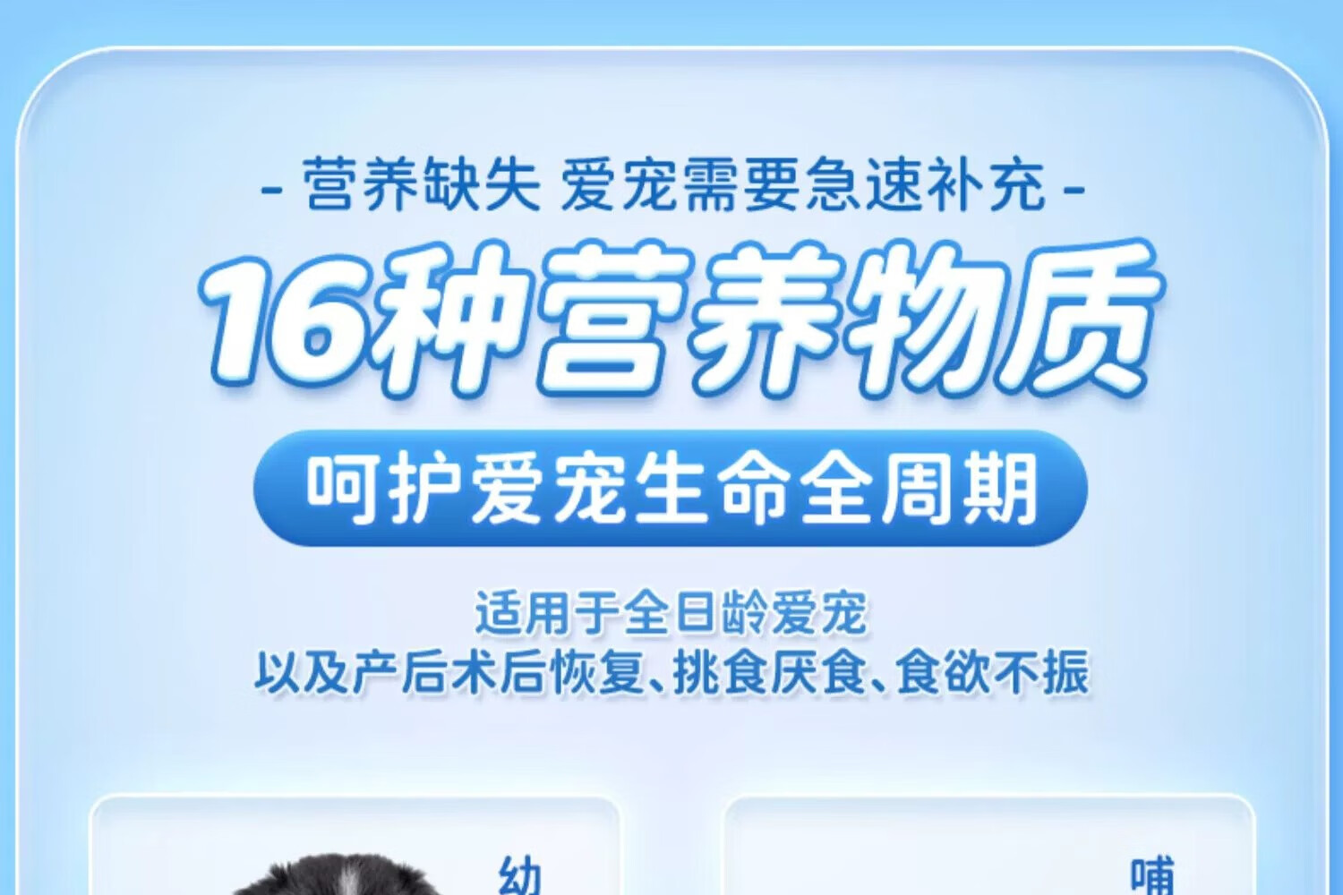 5，柯基專用營養膏狗狗幼犬用品寵物犬用美毛營養品 2支柯基營養膏【實發3支】