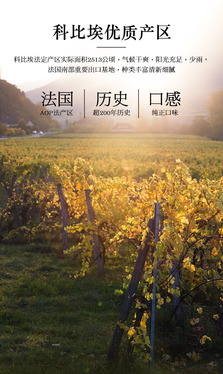 faketa法国进口红酒干红葡萄酒金奖酒波尔多aop级波尔多产区6支箱