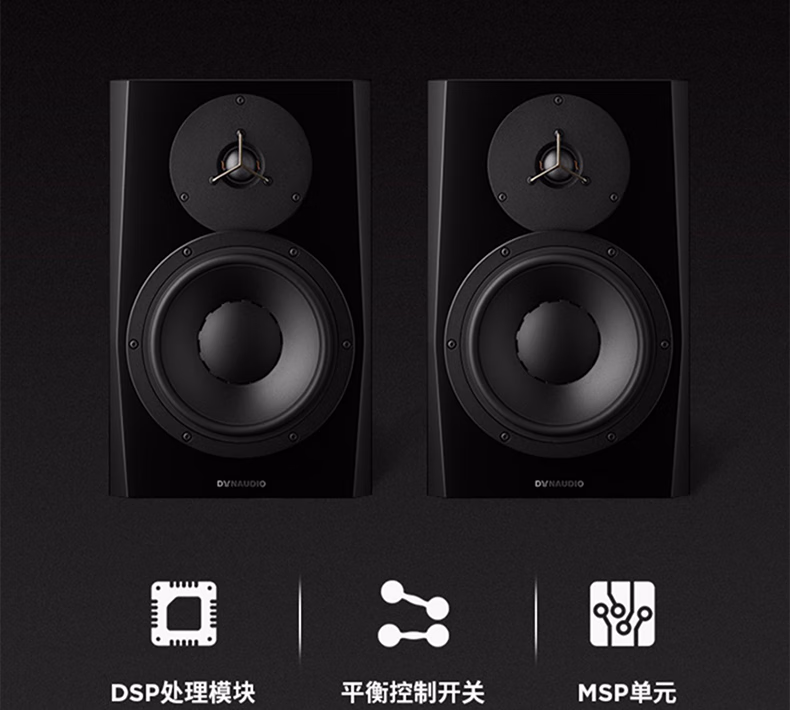 Dynaudio丹拿 LYD5插图17