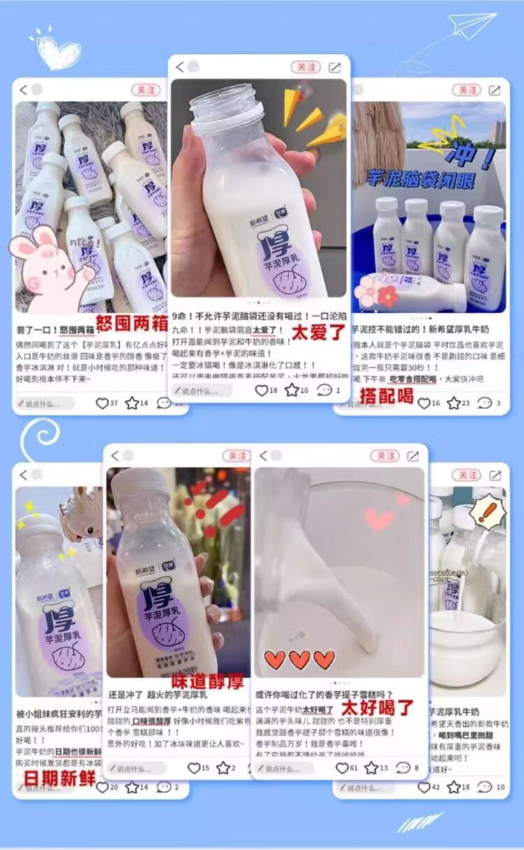 9，新希望琴牌芋泥厚乳 255ml*6瓶 今日鮮嬭鋪低溫牛嬭生牛乳香芋鮮嬭 芋泥鮮嬭6瓶裝