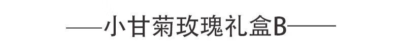 HERBACIN德国贺本清小雏菊小洋甘菊护手霜礼盒套装礼品团购三八妇女节礼物 小甘菊护手霜20ml+唇膏4.8g