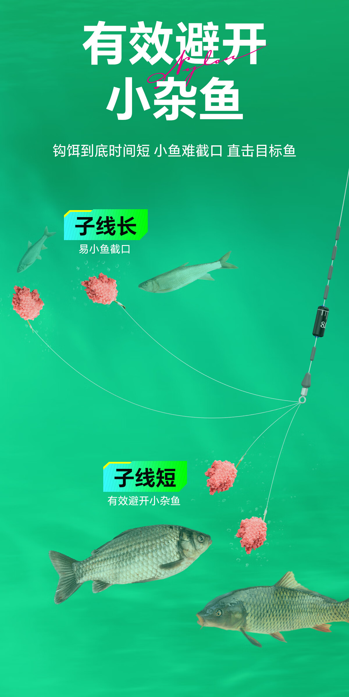 b87bb4d8c3f12070.jpg