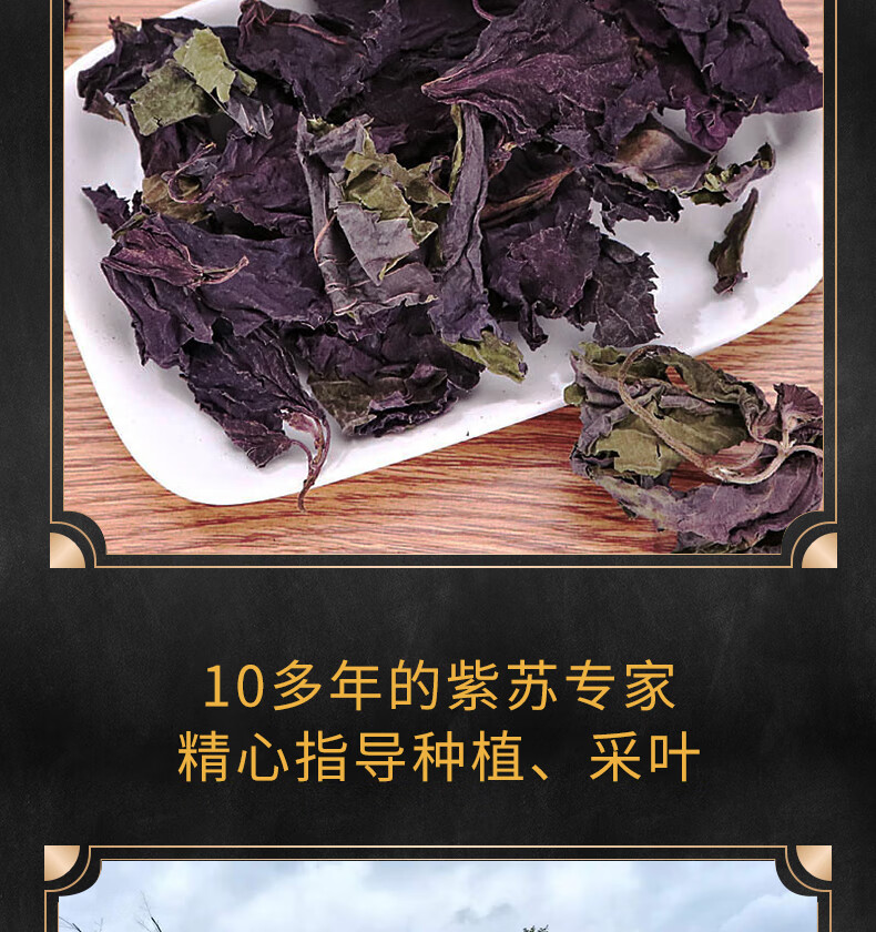 6，油研紫囌葉貴州高原雙麪紅紫囌葉100g天然囌子葉泡茶去腥料中葯材 乾紫囌葉100g（雙麪紫色）