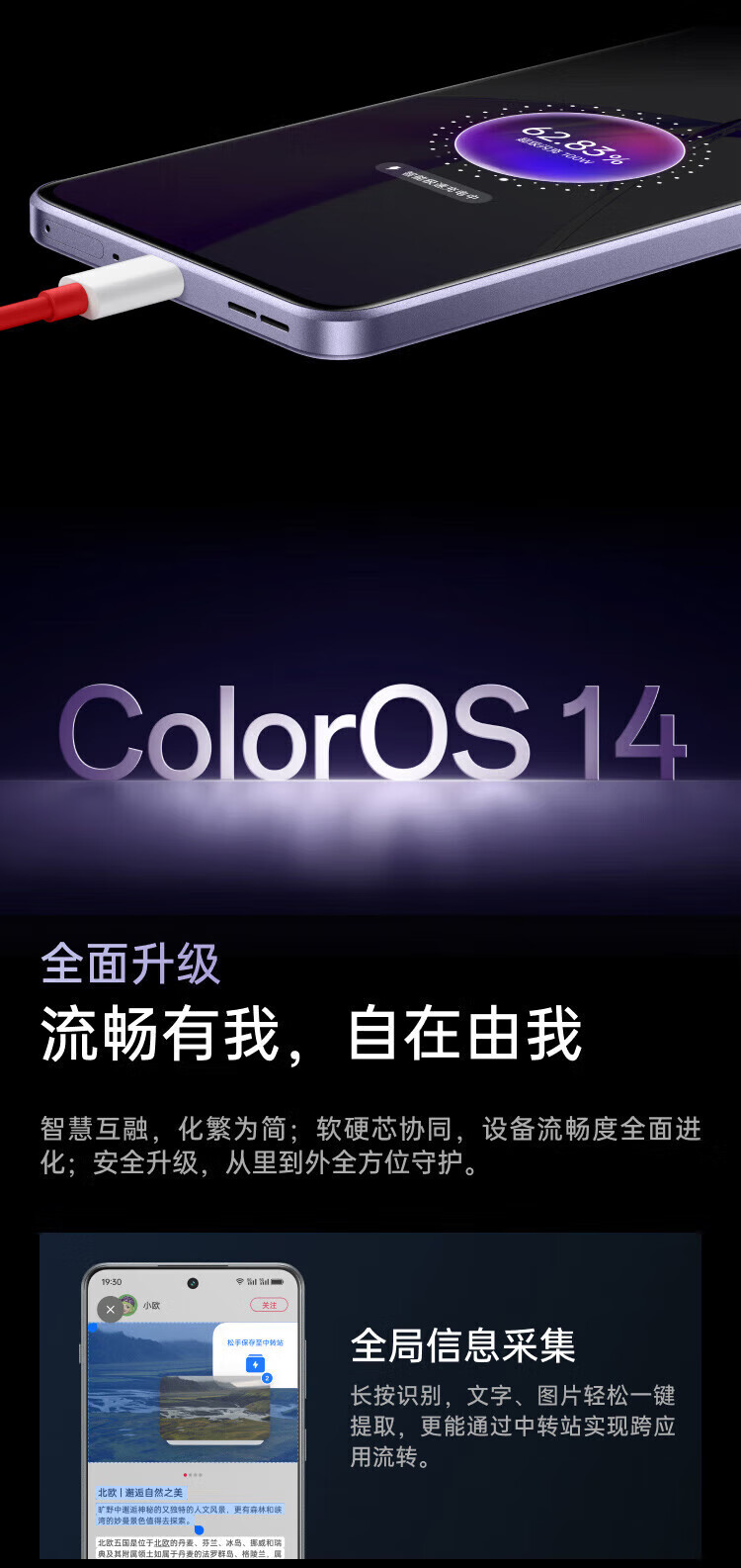 15a829f8b51adc9b.jpg