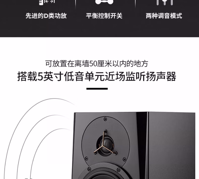 Dynaudio丹拿 LYD5插图3