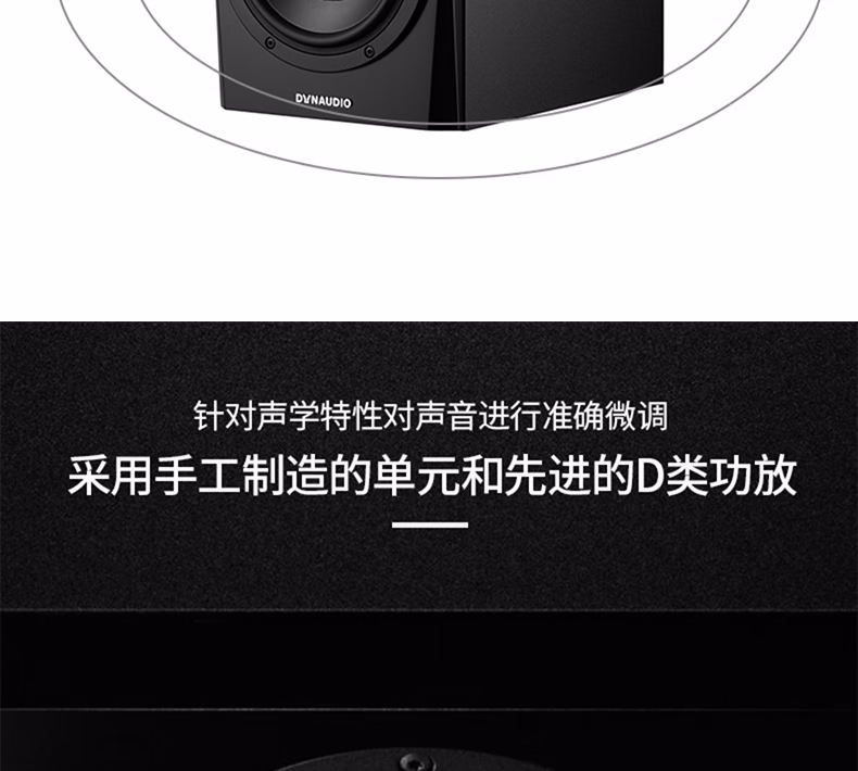 Dynaudio丹拿 LYD5插图19