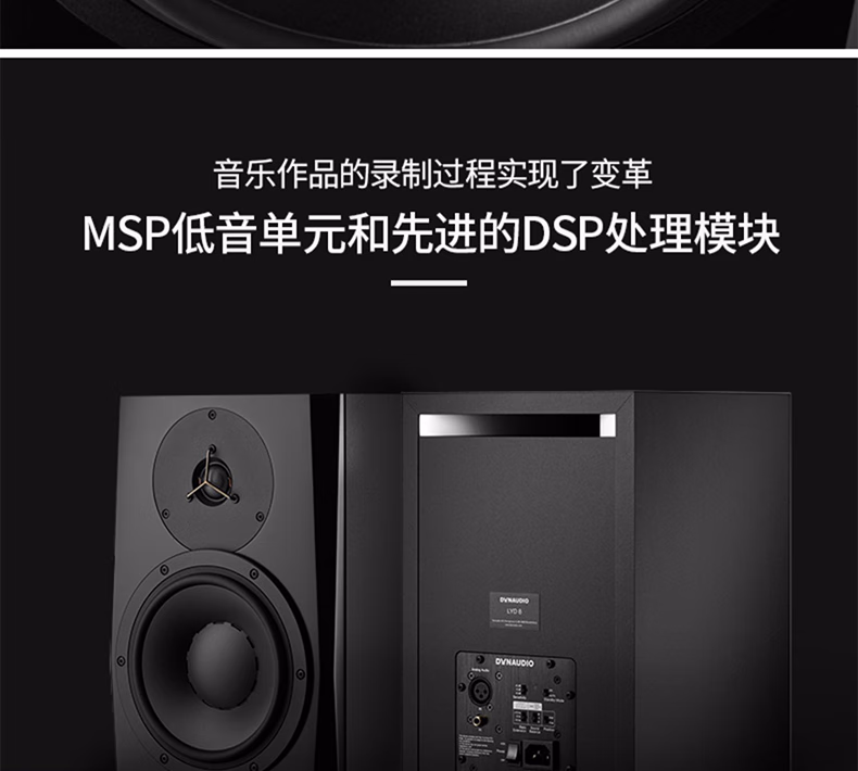 Dynaudio丹拿 LYD5插图21