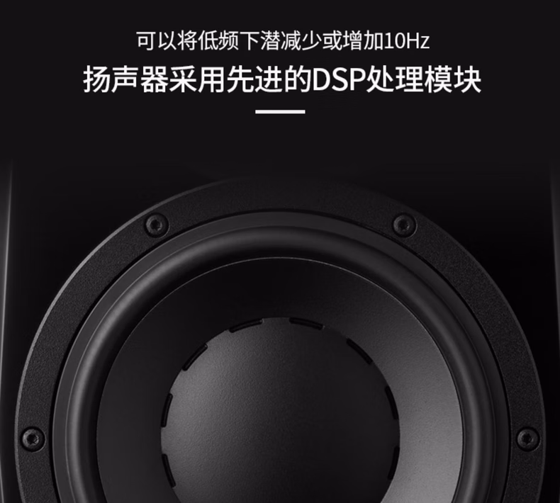 Dynaudio丹拿 LYD5插图12