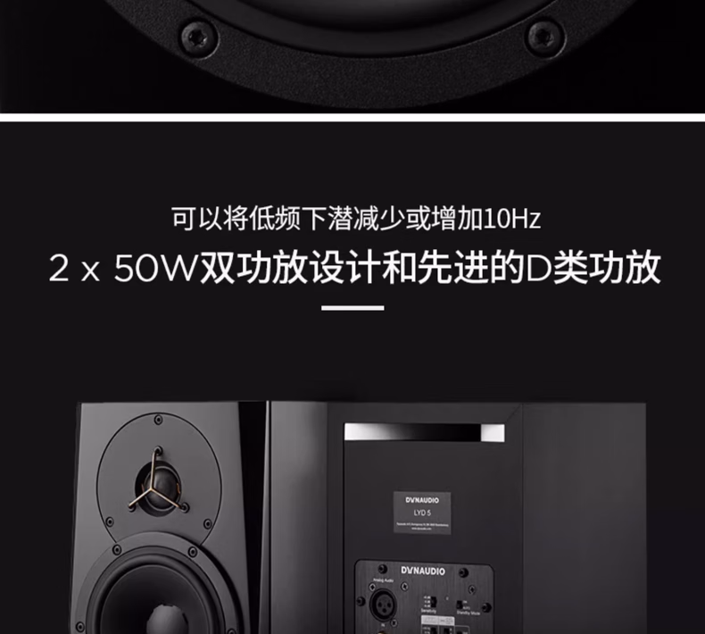 Dynaudio丹拿 LYD5插图6