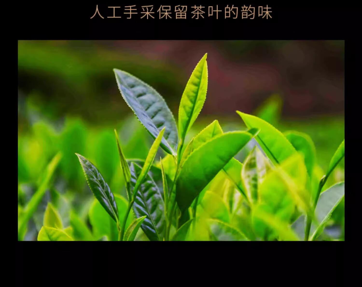 23f91f4196e76804.jpg
