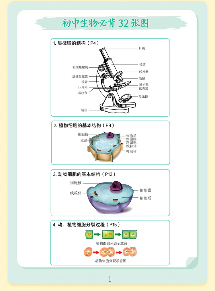 作业帮 25版初中课堂小笔记小四门道四门速记初一考点五分钟德与法治历史地理生物会考每日五分钟高频考点速记初一初二初三 2025版 【4本】小四门详情图片14