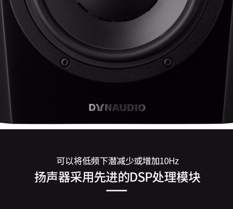 Dynaudio丹拿 LYD5插图13