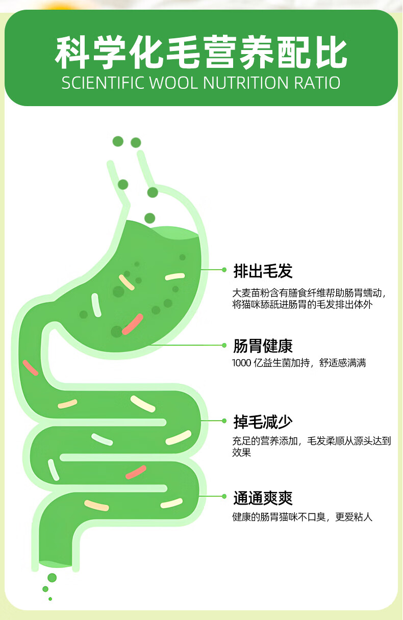 5，小藍 寵物貓咪貓草化毛球片腸胃調理溫和排毛化毛去毛球營養補充劑 2瓶【加送1瓶】到手3瓶