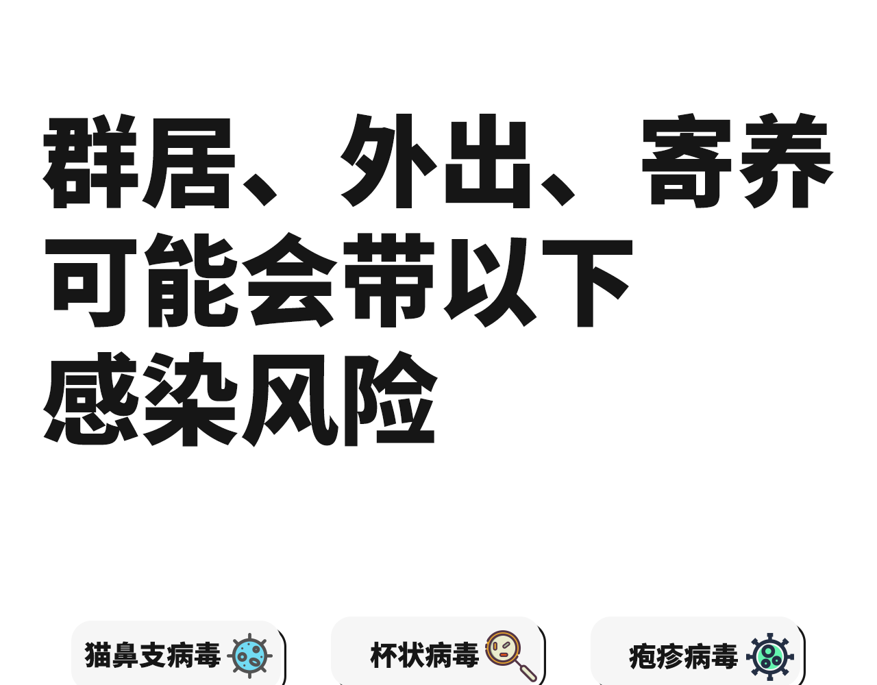 12，貓咪狗犬通用免疫球蛋白igy口服液免疫寶機躰觝抗力孕幼補充營養 1盒