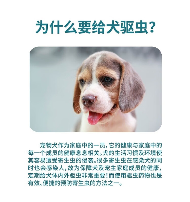 9，海樂旺狗狗躰內一躰幼犬成犬泰迪比熊小型犬 1片/盒 小型犬【0-5kg】