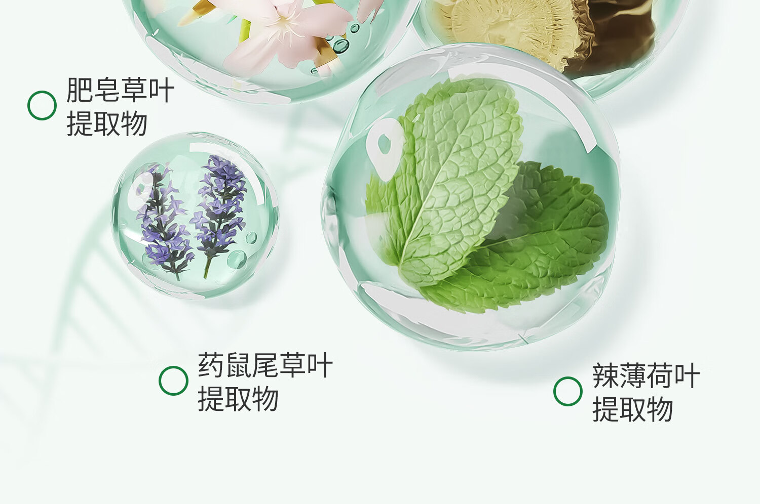 少年说少年说去黑头鼻贴敷出黑头导出液清洁细腻毛孔粉刺草莓鼻男女10片 黑头鼻贴 10片