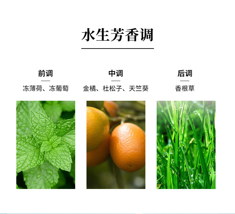 MEIDUN四子系列男士香水谦逊彬彬有礼飘逸清新50ml绅士优雅送男朋友爸爸 彬（木质馥奇调） 50ml
