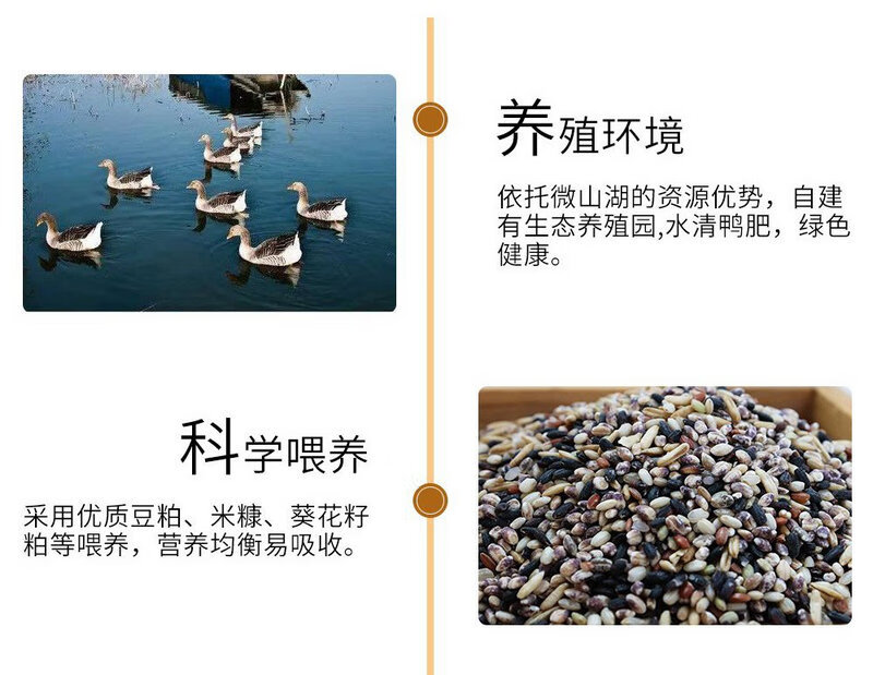 详情图.png