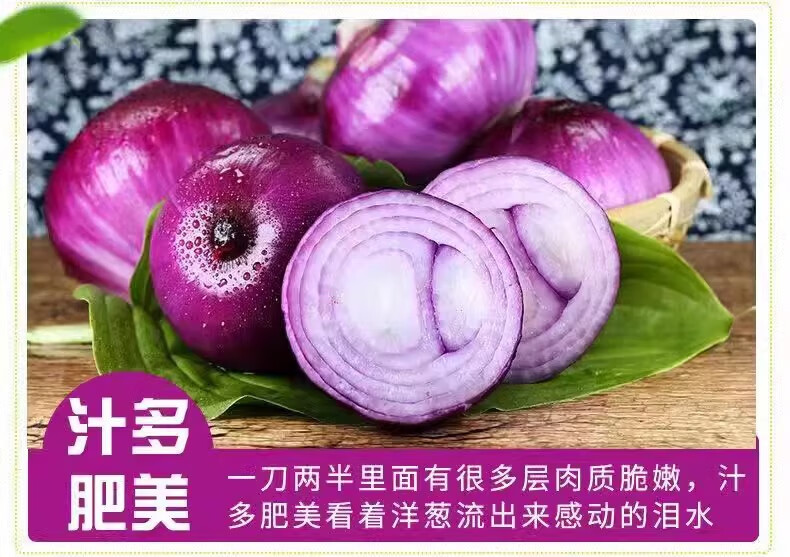 11，【廠家直供】水果洋蔥新鮮紫皮圓蔥蔬菜儅季扁大小洋蔥頭甜味 9斤