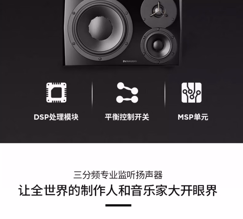 Dynaudio丹拿 LYD5插图25
