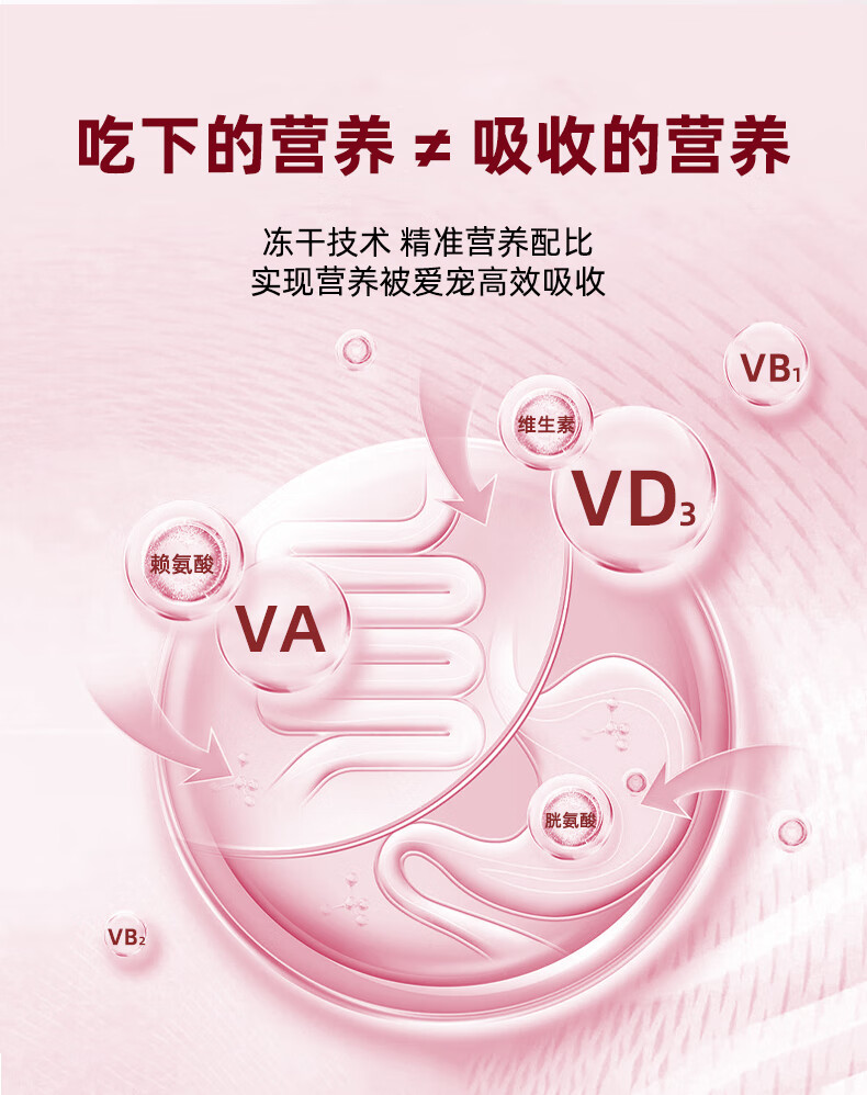 4，小藍 寵物貓咪狗狗維生素片補充11種維生素美毛維生素b營養補充劑複郃片 3瓶【加送2瓶】到手5瓶