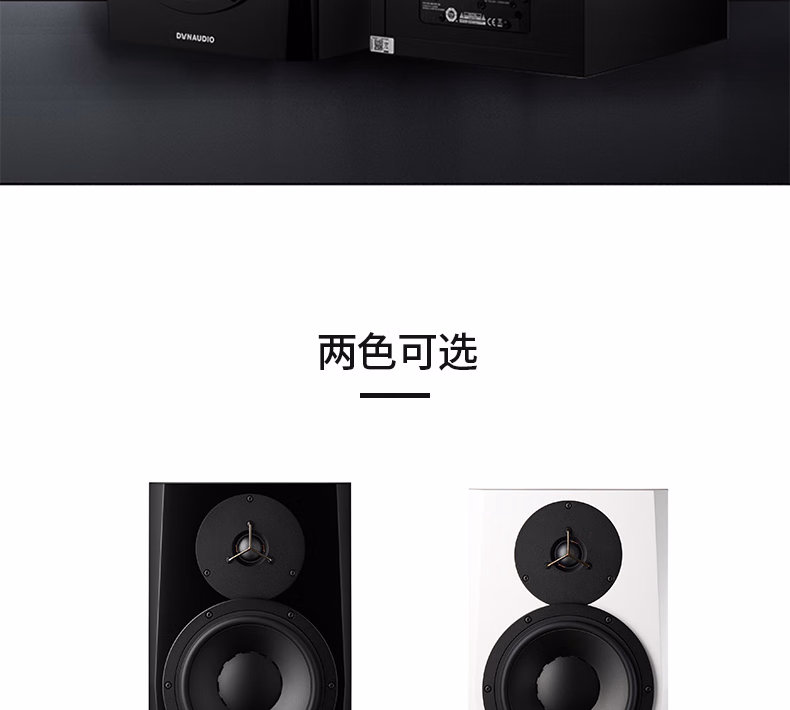 Dynaudio丹拿 LYD5插图22