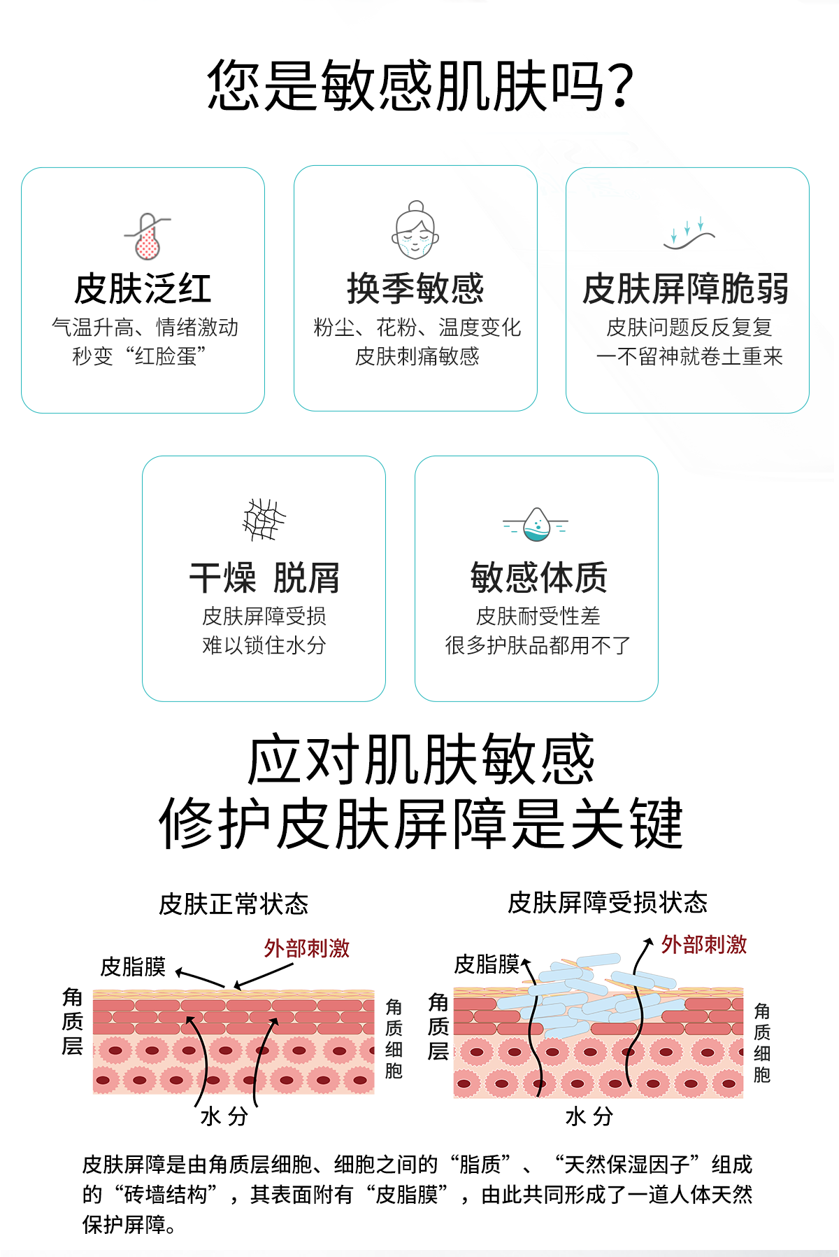 冰溪皮肤屏障修护乳 舒缓不刺激清爽修护敏感肌肤补水保湿乳液水润 50g