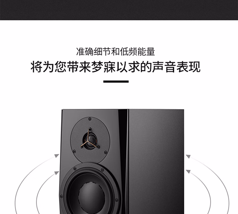 Dynaudio丹拿 LYD5插图18
