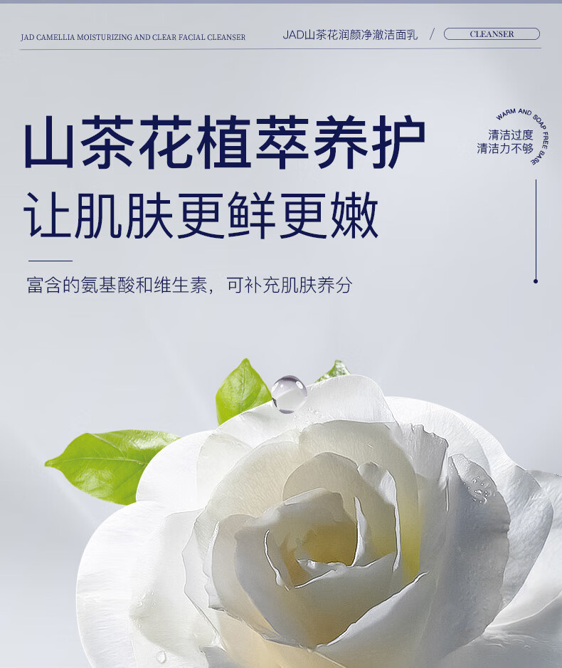 JAD山茶花润颜净澈玻尿酸洗面奶洁面乳100g 洗后不紧绷温和深层清洁 山茶花洁面乳100g