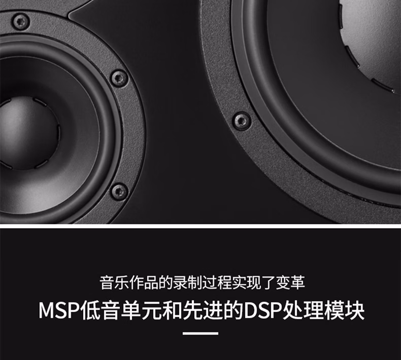 Dynaudio丹拿 LYD5插图28