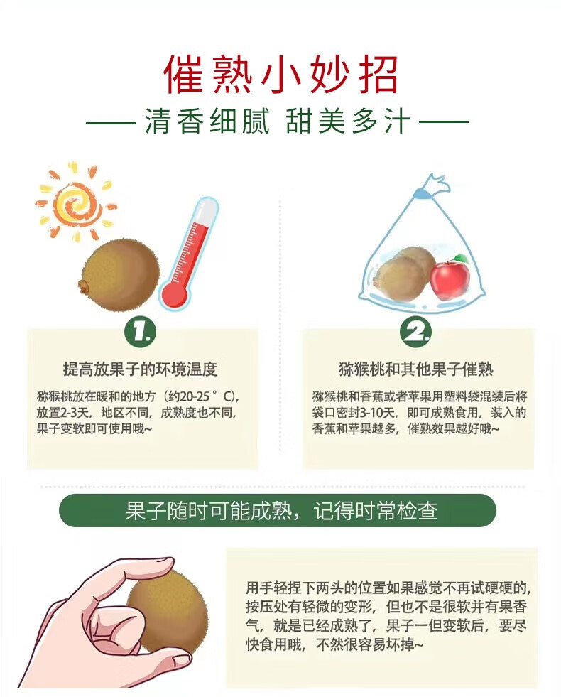 10，淘軒園陝西徐香 獼猴桃鮮甜多汁新鮮綠心奇異果時令水果整箱 要催熟 心選徐香獼猴桃 24枚 單果 約90-110g