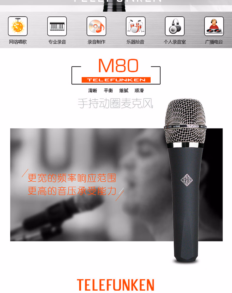 德律风根 M80 M81手持动圈麦克风专业拾音录音话筒 (动圈天花板)