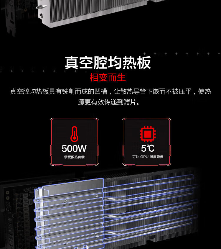 0763f85c637d2a65.jpg