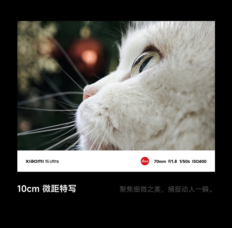 c83fd4f0cd6a633f.jpg
