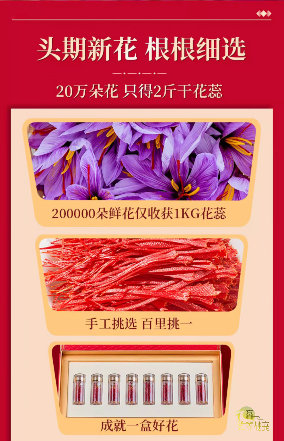 f572639523ad9ce1.jpg