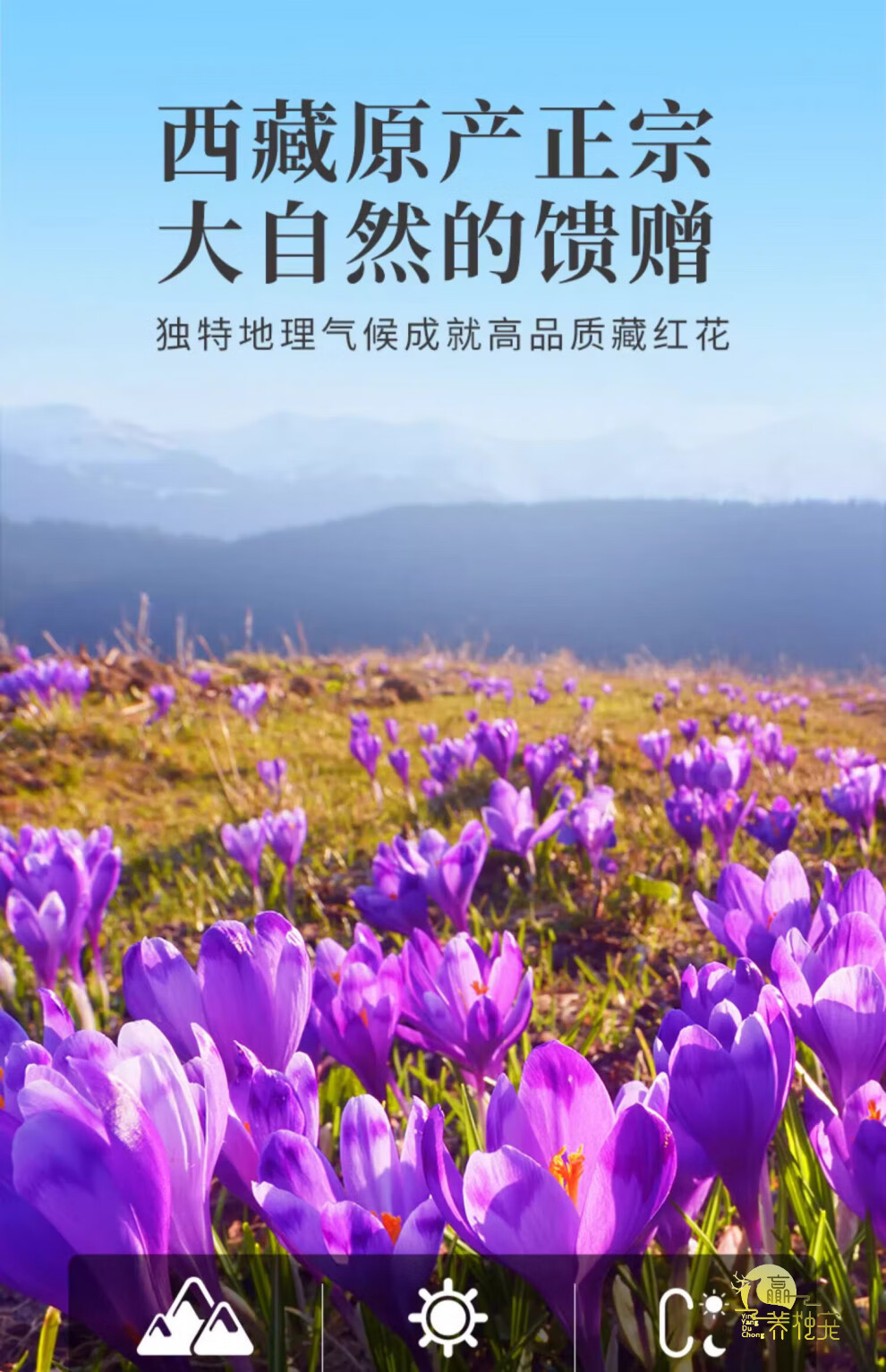 98a361a8ad06e132.jpg