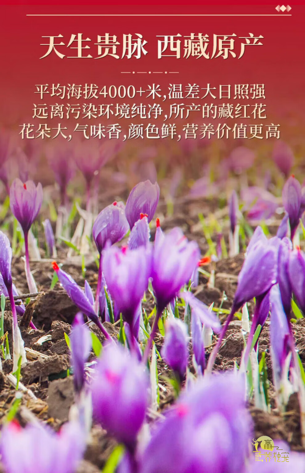 5d7e040ee10a7aad.jpg