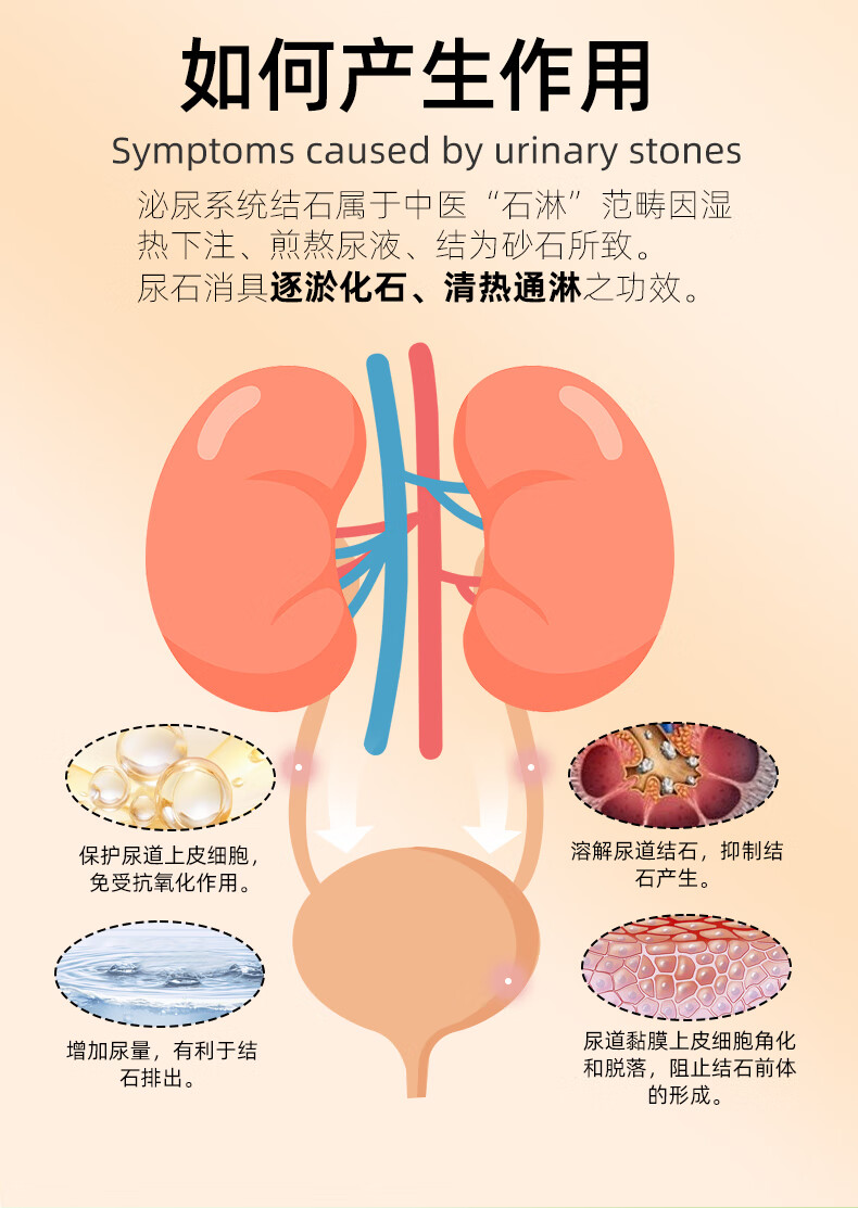 6，派石通寵物消石化石狗狗膀胱結石貓尿結晶消炎尿血排石尿石通 派石通片【1盒】