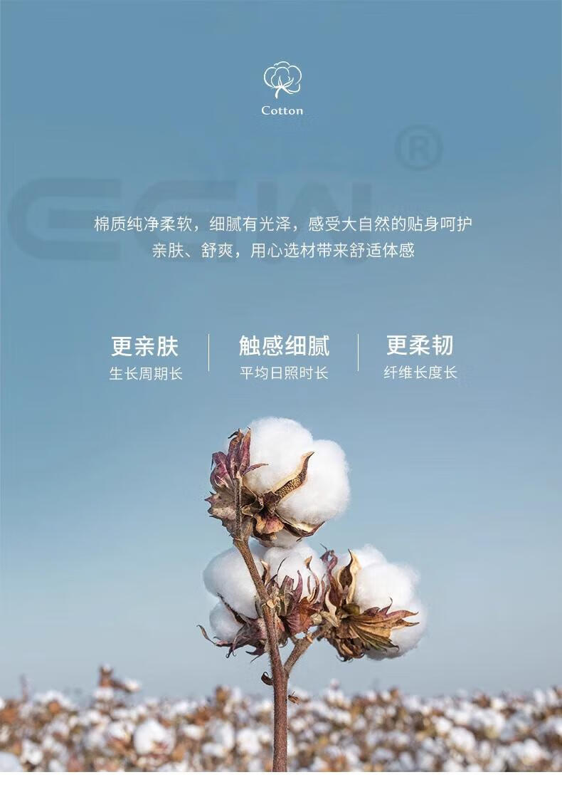 ff295346869ad609.jpg