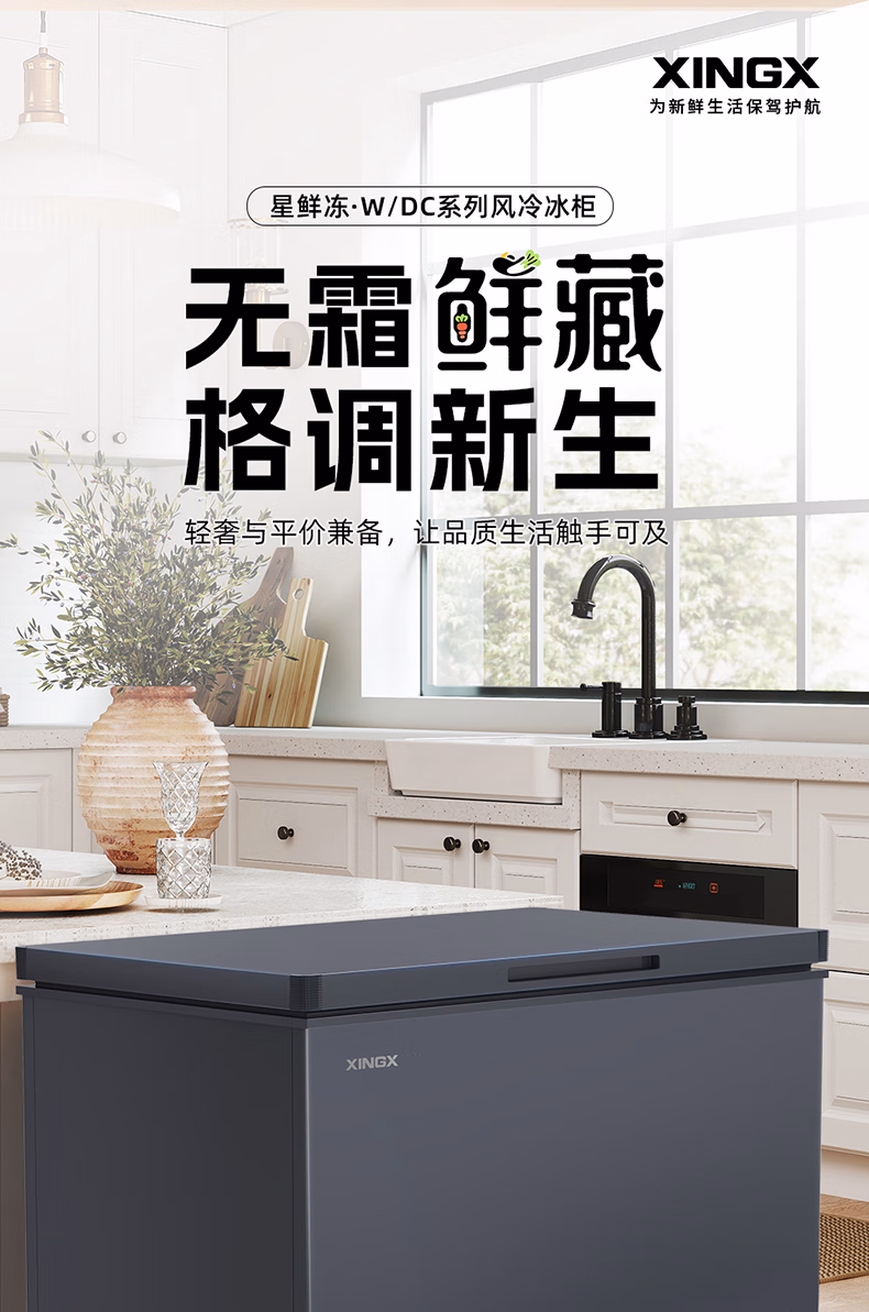 星星冷柜BD/BC-200W/DC