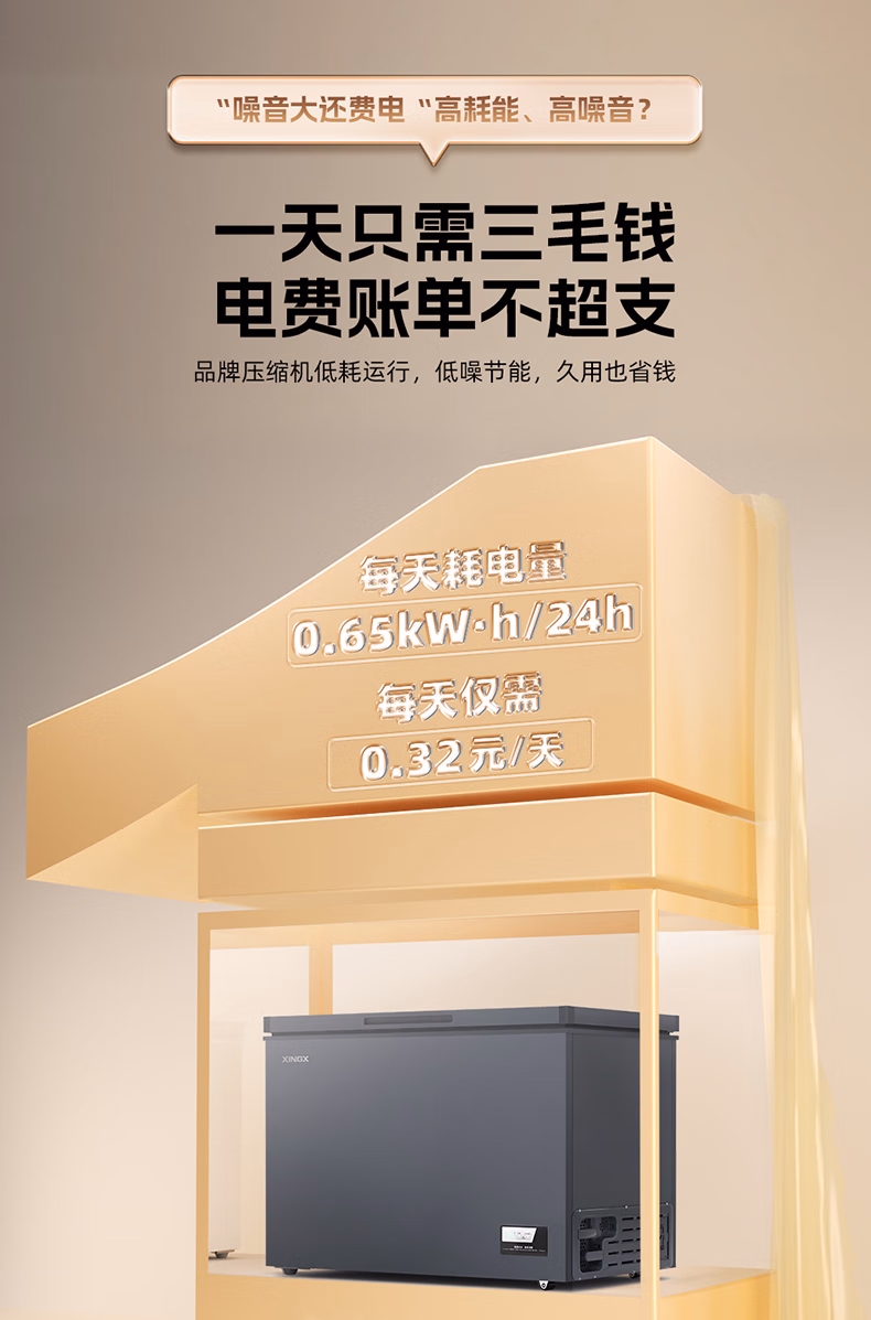 星星冷柜BD/BC-200W/DC