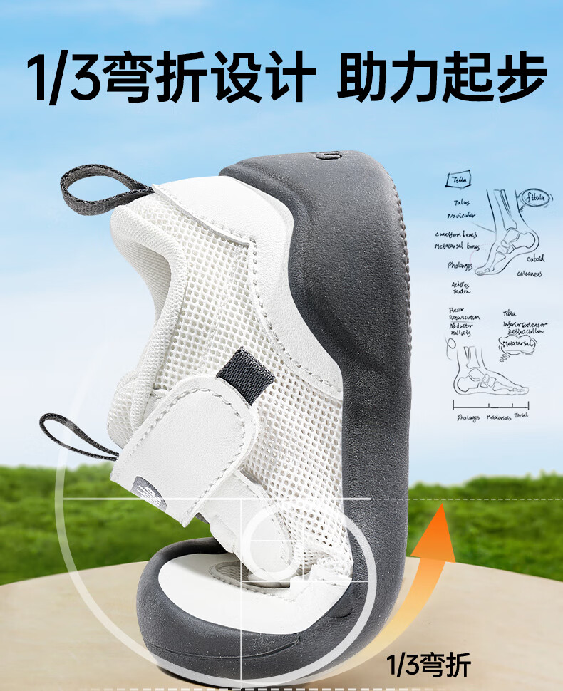 f44b7a5eb2f878b2.jpg