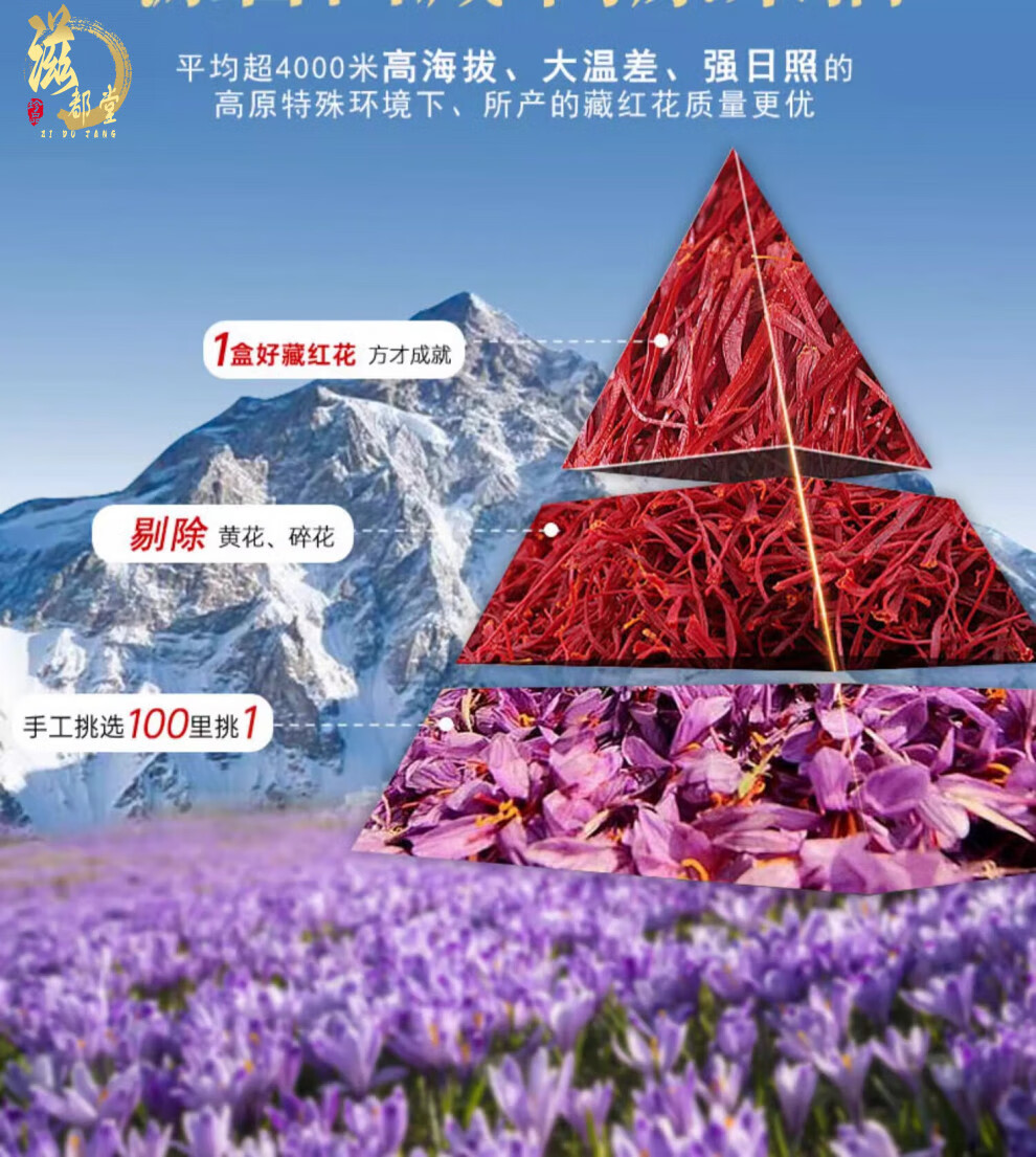 a856ef0a6d077b62.jpg