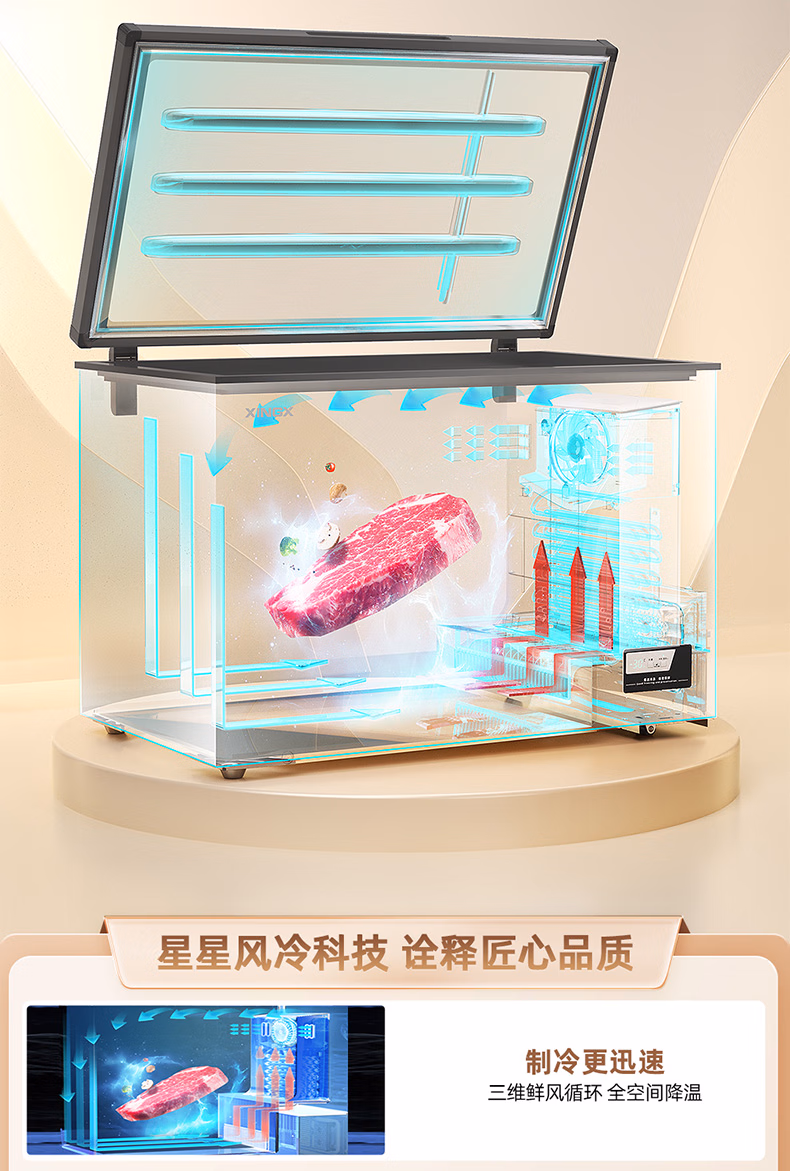 星星冷柜BD/BC-200W/DC