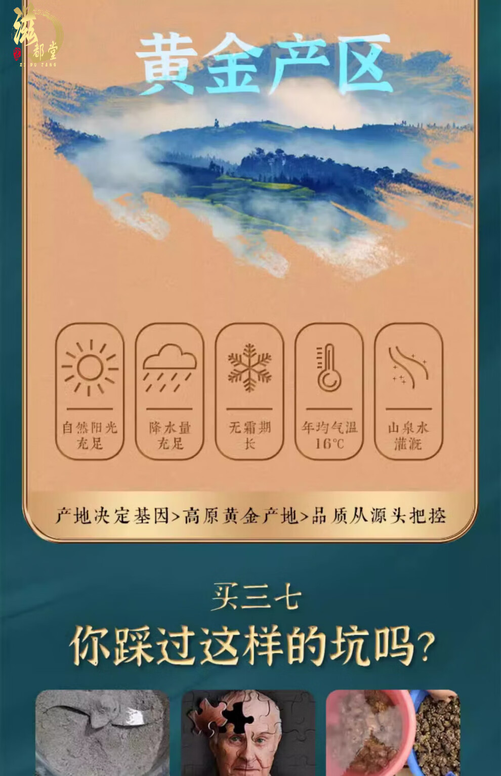 35f1bf44d6375f49.jpg