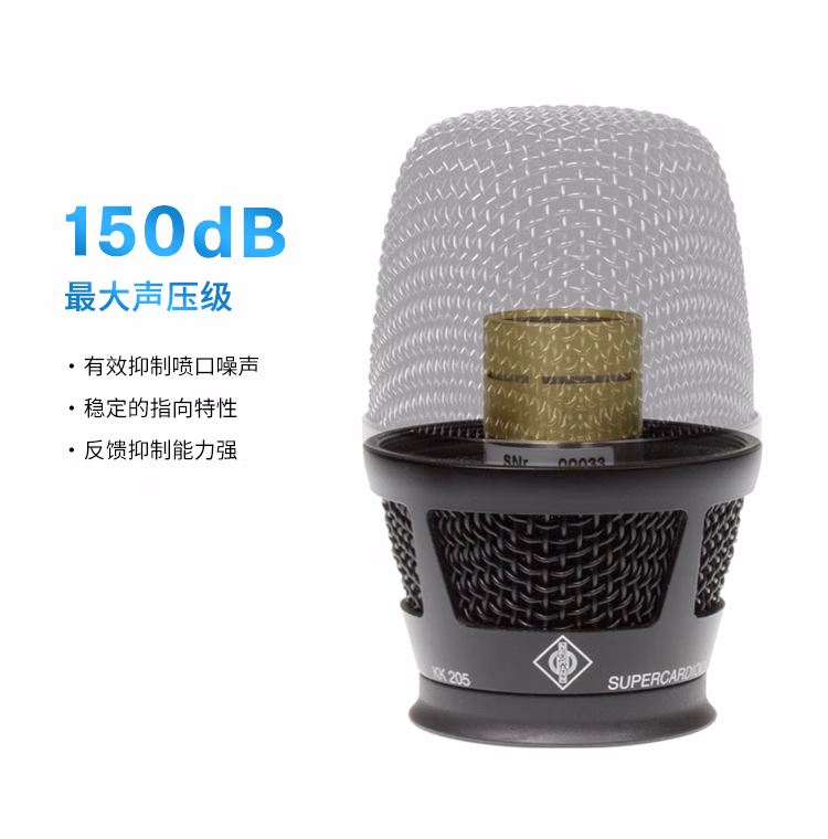 EWDP KK205 专业手持无线麦克风会议舞台演出直播K歌无线话筒套装